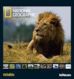 National Geographic Wildlife 2011 (Poster Cal)
