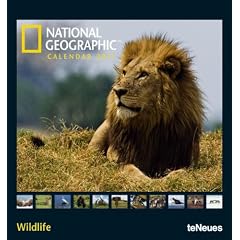 National Geographic Wildlife 2011 (Poster Cal)