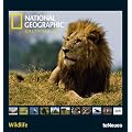 National Geographic Wildlife 2011 (Poster Cal)