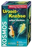 Kosmos 659219 - Urzeit-Krebse selber zuechten
