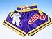 Muay Thai Shorts - Blue, White Letters & White Band (4L)