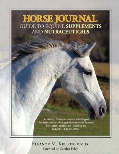 equine supplements 