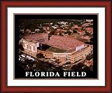Large Griffin Stadium Florida Gators Aerial Framed Print - Cherry Double Mat