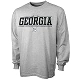 Nike Georgia Bulldogs Ash Youth Logo Long Sleeve T-shirt