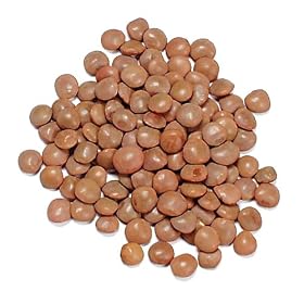 Lentils, Brown ( Spanish Pardina ) - 2 Lb Jar Each