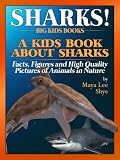 Sharks! A Kids Book About Sharks - Facts, Figures and High Quality Pictures of Animals in Nature (Big Kids Books)