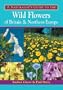 A Naturalist's Guide to the Wild Flowers of Britain & Northern Europe