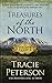 Treasures Of The North (Christian Historical Fiction)