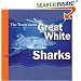 The Truth About Great White Sharks