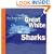 The Truth About Great White Sharks