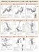 Abdomen Workout Poster