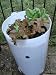 Funpots Patio allotment, self watering raised plant bed, 