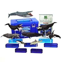 立体図鑑リアルフィギュアボックス マリンママルデラックス（くじら・いるかの仲間）