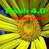 Flash 4.0 Training Course