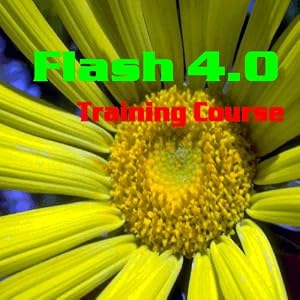 Flash 4.0 Training Course