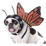 Animal Planet PET20101 Butterfly Dog Costume, Medium