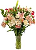 Discounts Mothers Day Flowers - Free Fast Shipping - Fresh Cut Flowers - 25 Stems by Farm Fresh Flowers