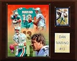 NFL Dan Marino Miami Dolphins Player Plaque