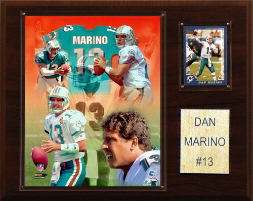 NFL Dan Marino Miami Dolphins Player Plaque