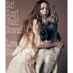 Sit! Stay! Wait! Down!/Love Story