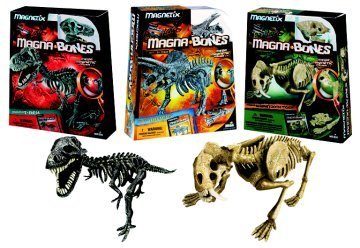 Childrens Toyshop  Third Party New : MEGA BLOCKS Magna Bones Dinosaur, 3 designs