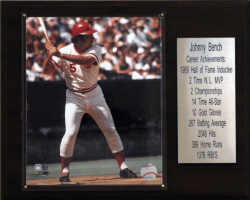 MLB Johnny Bench Cincinnati Reds Career Stat Plaque