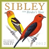 Sibley: The Birders Year 2012 Wall (calendar)