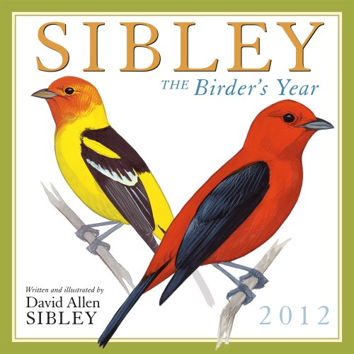 Sibley: The Birders Year Wall (calendar)