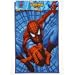 Spiderman Rectangular