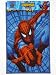 Spiderman Rectangular Floor Rug