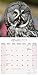 Owls Calendar - 2016 Wall calendars - Animal Calendar - Monthly Wall Calendar by Avonside