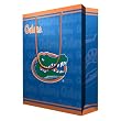 Florida Gators NCAA Large Gift Bag (15.5 Tall) by Pro Specialties Group