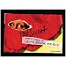 PostSecret: Confessions on Life, Death, and God