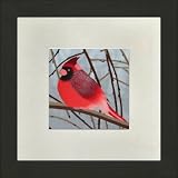 Susho, King Silk Art Handmade Silk Embroidery - Cardinal on a Branch - White Mat Framed Regular Size 11023WF