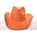 51JoOyobZZL. AA75  Glitter Sparkle Western Hats / Orange