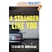 A Stranger Like You: A Novel