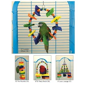 Brainy Bird Toy Confetti Wheel (PEDS)(US031)