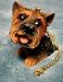 Yorkshire Terrier Yorkie Ceiling Fan Pull Set of 2