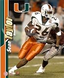 Sean Taylor Miami Hurricanes 16x20 Photo