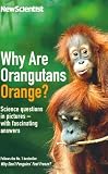 Why are Orangutans Orange?: Science puzzles in pictures - with fascinating answers
