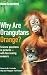 Why are Orangutans Orange?