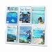 Safco 5607CL Clear plastic literature display wall rack for six magazines, 30w x 24-5/8h