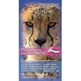 Pigmentixx PX-13A (magenta) 15ml - Druckerpatrone - Tintenpatrone Ersetzt Epson T0713 (weitere Farben: Multipack T0715, T0711, T0712, T0714) Kompatible Druckermodelle, Kompatibel mit:Epson Stylus D78, D92, D120, DX4000, DX4050, DX4400, DX4450, DX5000, DX5050, DX6000, DX7000F, DX7400, DX7450, DX8400, BX300F, BX610FW, BX310F, BX340F, BX600FW, S21, S20von "Pigmentixx"