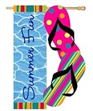 Summer Fun Sculpted Artistic Blend Regular Size Flag