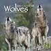 Wolves 2010 Square Wall (Multilingual Edition)
