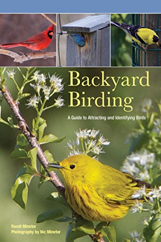 Backyard Birding: A Guide To Attracting And Identifying Birds
