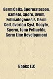 Germ Cells: Spermatozoon, Gamete, Spore, Ovum, Folliculogenesis, Germ Cell, Ovarian Cyst, Oocyte, Sperm, Zona Pellucida, Germ Line-