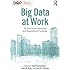 Big Data at Work: The Data Science Revolution and Organizational Psychology (SIOP Organizational Frontiers Series)