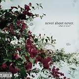 NEVER SHOUT NEVER Can't Stand It