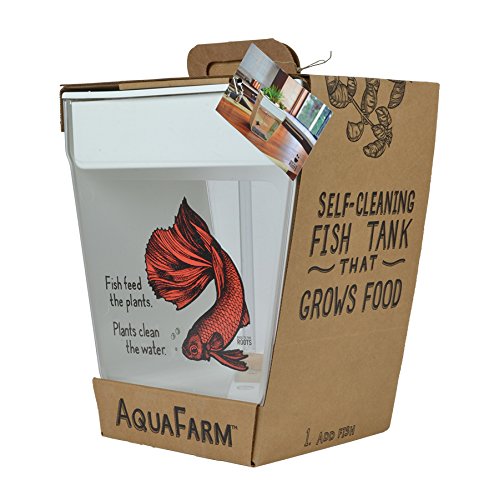 Back to the Roots - Aquafarm